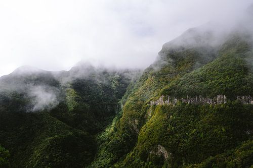 Groene landschap van Madeira van Jochem de Jong