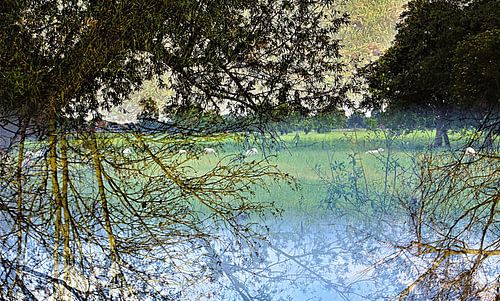 Witte wieven in het veld