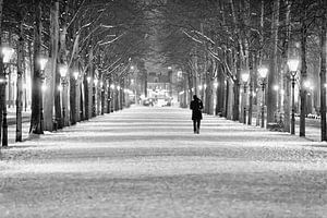 Lange Voorhout Den Haag