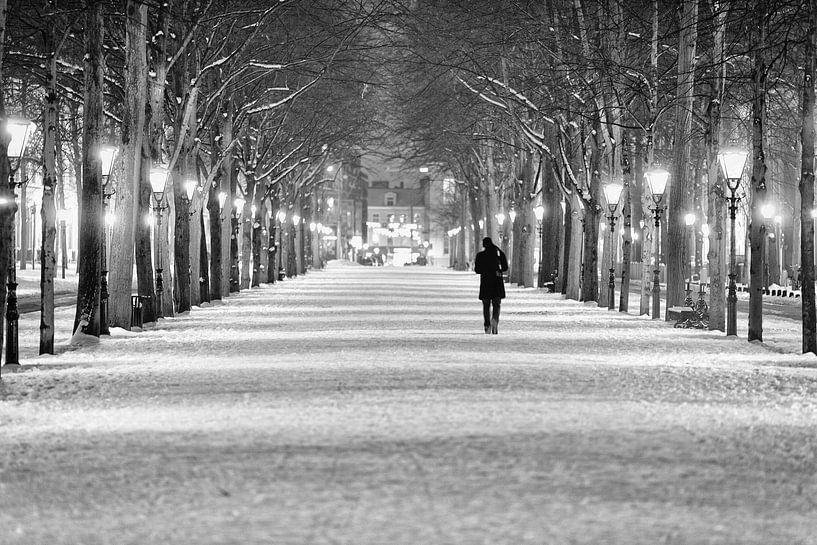 Lange Voorhout by Tom Roeleveld