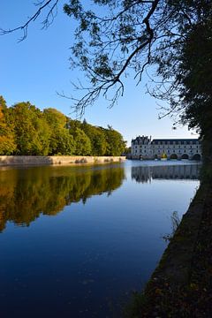 Herfstig beeld van Chateau Chenonceau in de Loire Vallei van Studio LE-gals