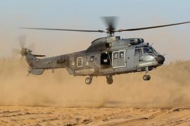 Royal Netherlands Air Force AS532U2 Cougar by Dirk Jan de Ridder - Ridder Aero Media