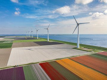 Tulips with wind turbines during springtime