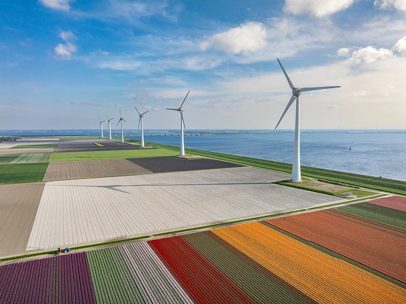 Tulpen met windturbines in de lente van Sjoerd van der Wal Fotografie
