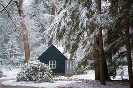 Winterse taferelen in Kroondomein het Loo van Samantha Rorijs