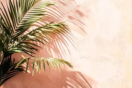 Tropicale Schatten auf Pastellwand von Poster Art Shop