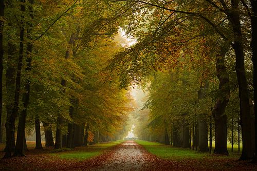 Herfst in het paleispark