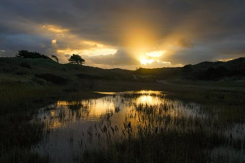 Zonsondergang in duingebied Berkheide