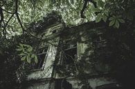 Abandoned ghost house by Myron van Ruijven thumbnail