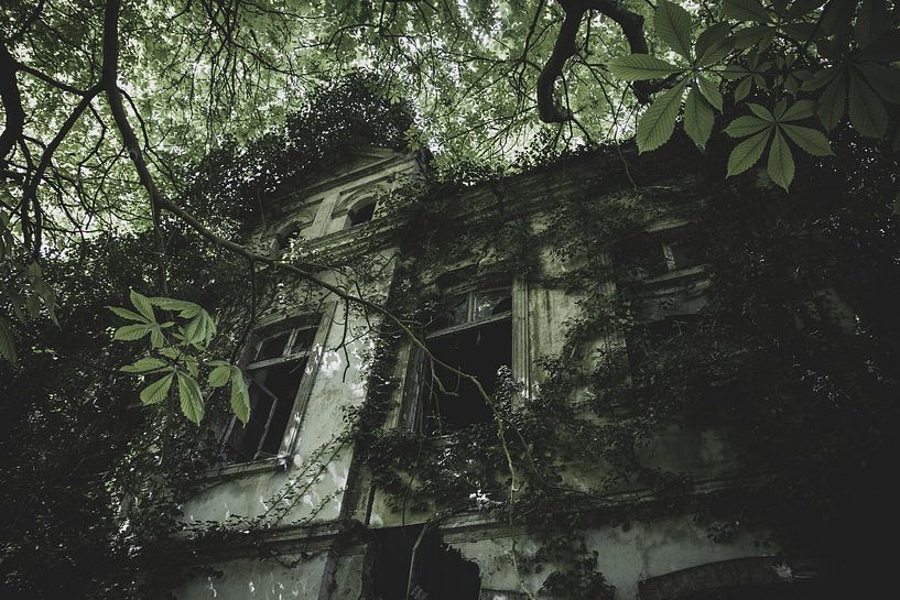 Abandoned ghost house by Myron van Ruijven