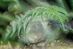 Koningsvaren - relief in plastic