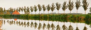 Rangée d'arbres le long du canal circulaire du polder de Beemster sur Frans Lemmens