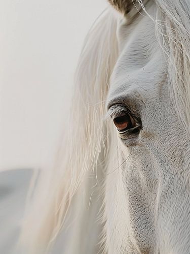 Wit paard van dichtbij