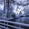 winter doorkijkje in het park van peterheinspictures