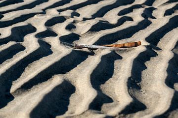 Unterbrechung im Sandmuster von Leontine van der Stouw