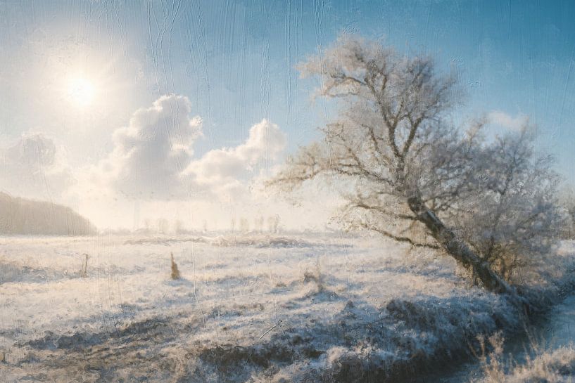 Eine Winterlandschaft in der Morgensonne von Geert Van Baelen