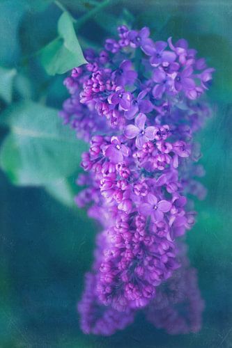 You Are My Silence by The Art Of Vili