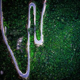 Scenic Mountain Road at Sunset – A Journey into Nature by Madan Raj Rajagopal