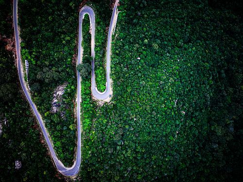 Route panoramique au coucher du soleil - Un voyage dans la nature sur Madan Raj Rajagopal