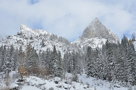 Berggipfel erheben sich über einen winterlichen Wald von Tomherkules