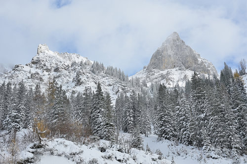 Mountain peaks rise above a wintry forest