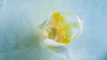 Orchidee in smeltend ijs van Zansu Fotografie