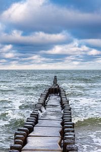 Buhne an der Küste der Ostsee in Ahrenshoop auf dem Fischland-D
