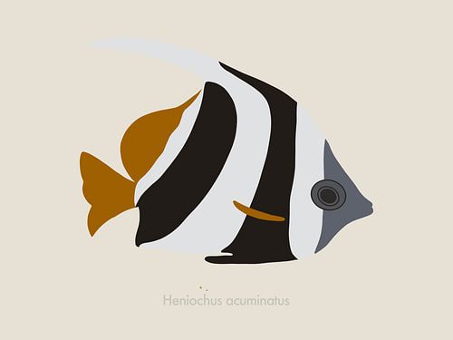 Minimalistische und bunte Illustration eines Wimpelfisches