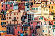 Cinque Terre, Italie par Tijmen Hobbel Aperçu