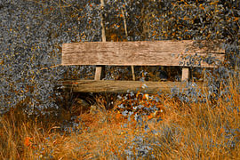 Banc en bois dans une forêt d'automne en Franconie, aux teintes grises et orangées sur Stefan Dunkel Naturfotografie