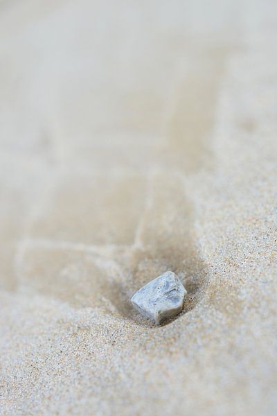 Kiezelsteen op het strand van Jenco van Zalk