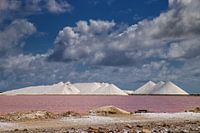 Pyramides de sel de Bonaire