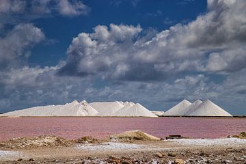 Pyramides de sel de Bonaire sur Marly De Kok