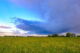 Landscape in the floodplains of the river IJssel during spring s by Sjoerd van der Wal Photography