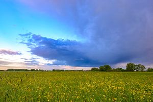 Landschaft in den Auen der IJssel im Frühling