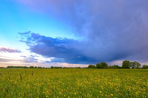 Landschap in de uiterwaarden van de IJssel in het voorjaar