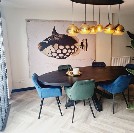 Leopard triggerfish (Balistoides conspicillum)