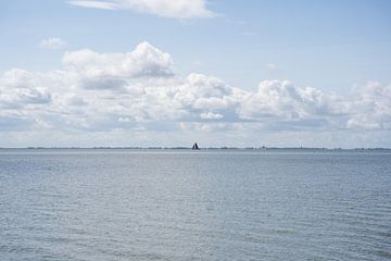 Nederlandse plaatje van de Waddenzee van Laura Bosch