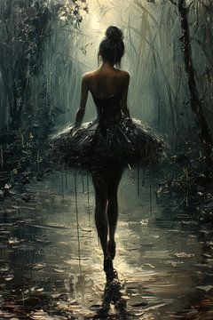 Schatten Ballerina von ByNoukk