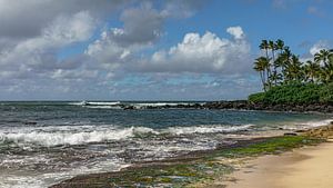Laniakea Beach auf Oahu.