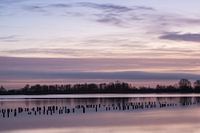 Sunrise Vinkeveen Botshol!