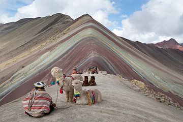 Rainbow Mountain, montagne des sept couleurs sur Niki Radstake