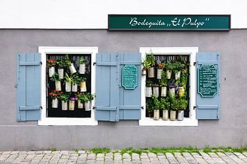 Fenster voller Grünpflanzen von Tilo Grellmann