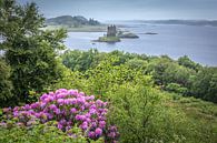 Uitzicht op Castle Stalker bij Loch Linnhe, Appin van Christian Müringer thumbnail