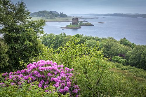 Uitzicht op Castle Stalker bij Loch Linnhe, Appin