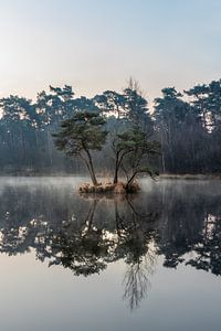 Eine Oase der Ruhe. von Jacqueline de Groot