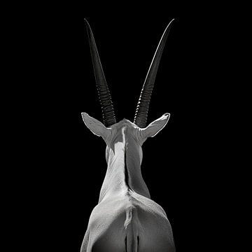 Oryx Silhouet van Poster Art Shop