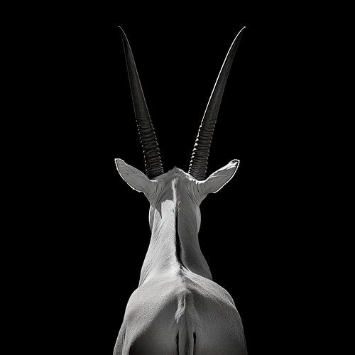 Oryx Silhouet