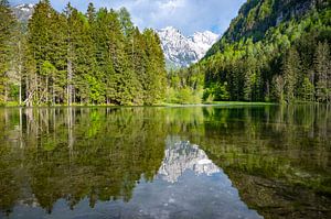 Alpine like in a valley with mountains in the background during 