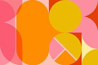 Colourful organic abstract geometry